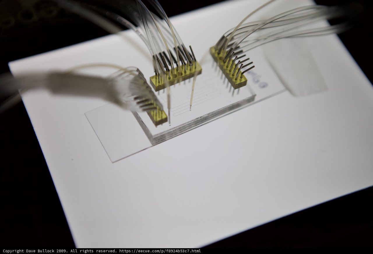 Micro Bio Chip Wiring