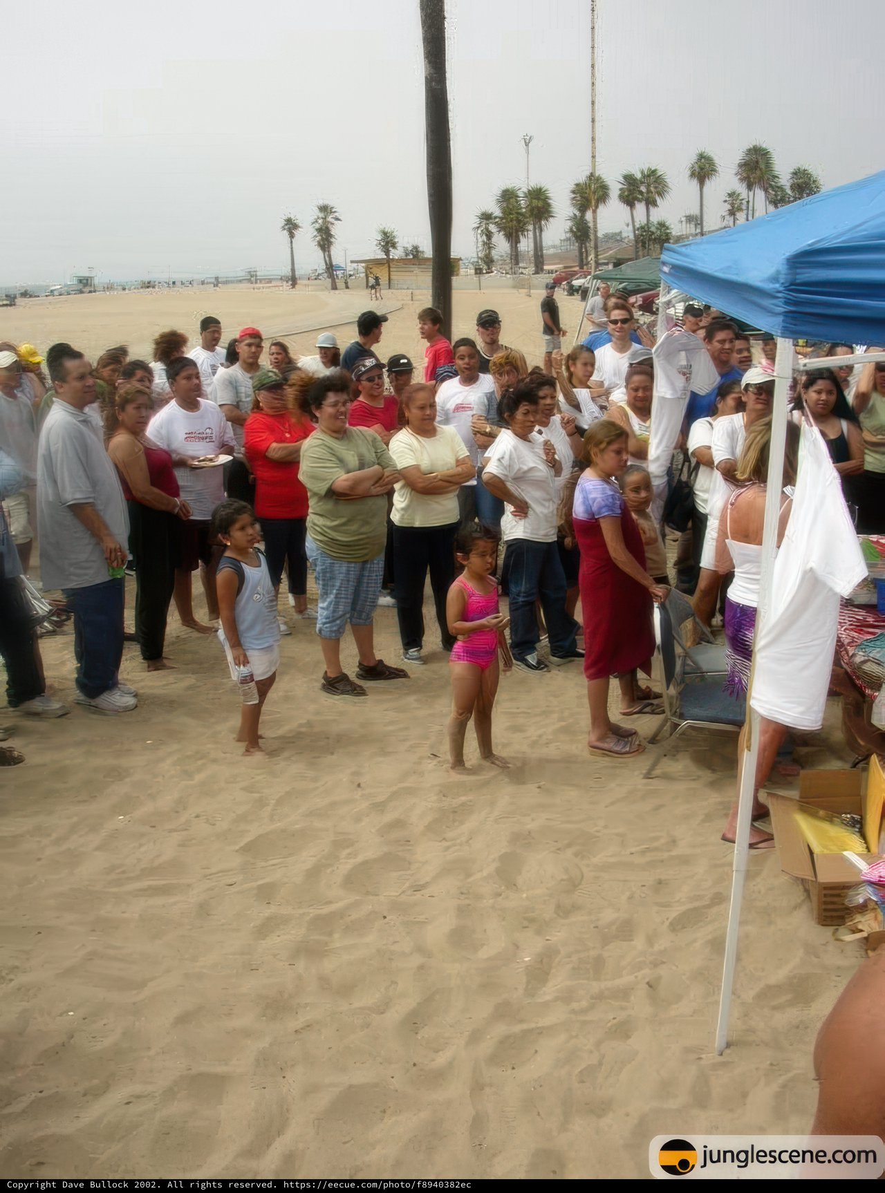 Beach Party Gathering