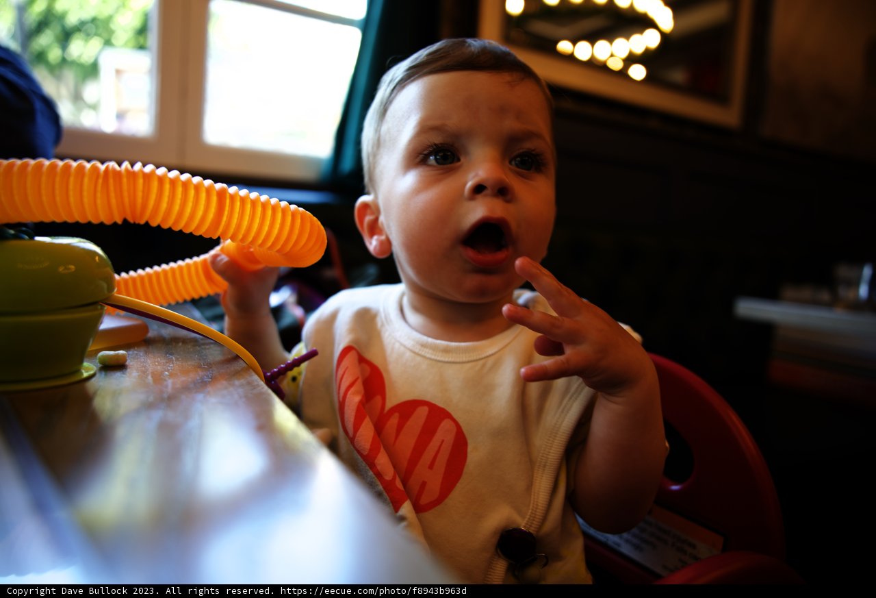 Wesley's High Chair Adventures