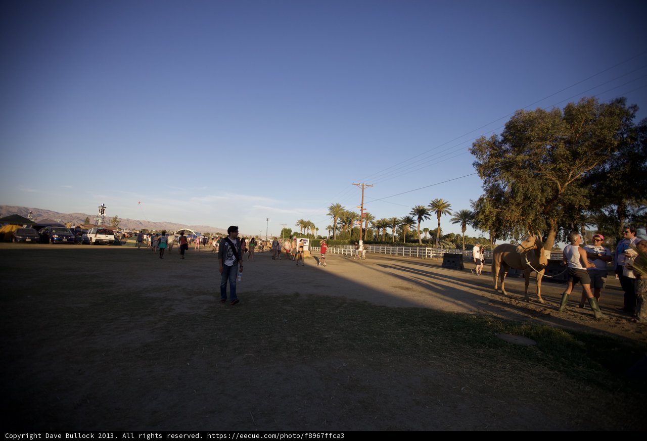 Horseback Riding at Coachella