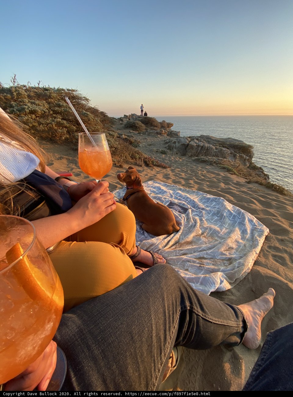 Beachside Relaxation