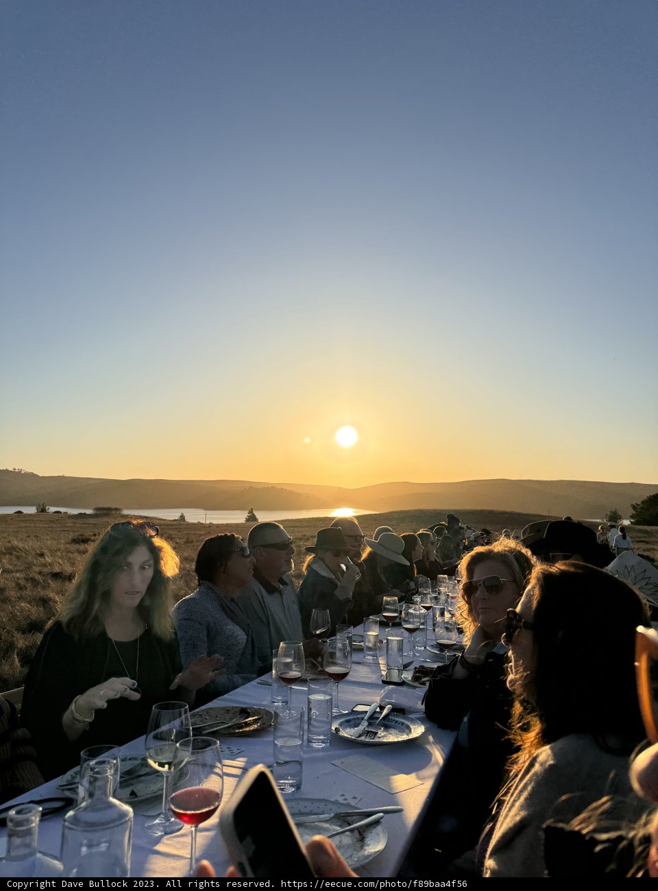 Shared Moments: A Sunset Gathering at Hog Island Oyster Co.