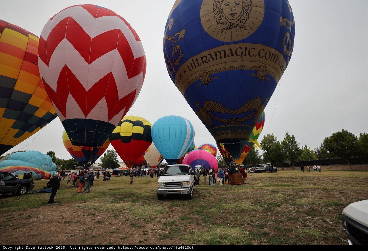 Colorful Hot Air Balloons Fill the Sky at Festival