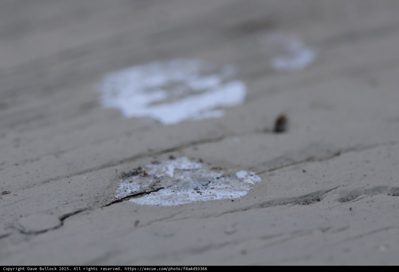Traces of Nature