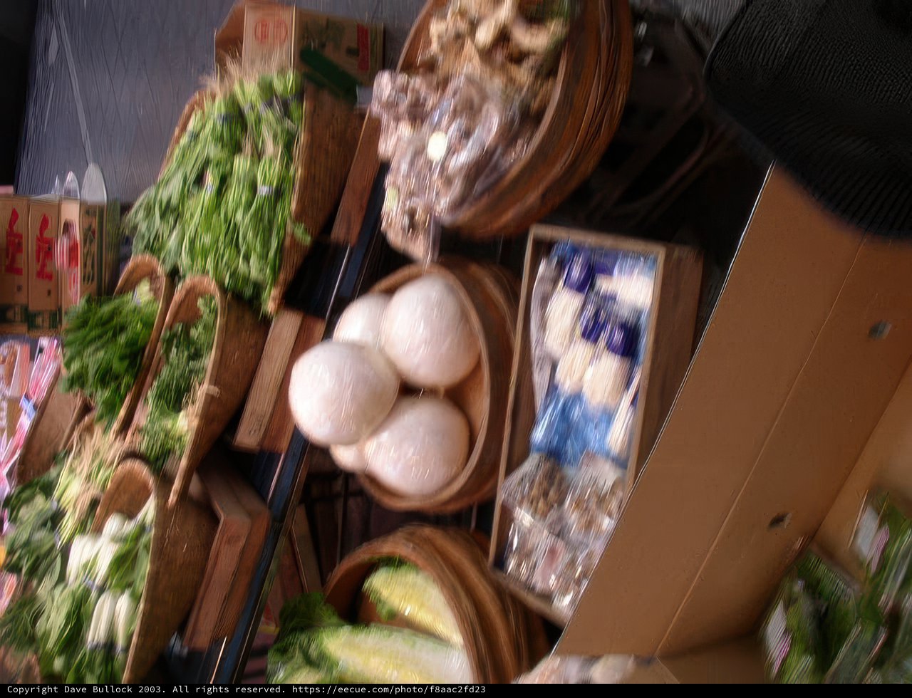 Bountiful Harvest in Osaka's Technology District