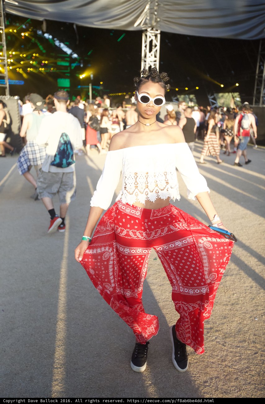 Festival Fashionista
