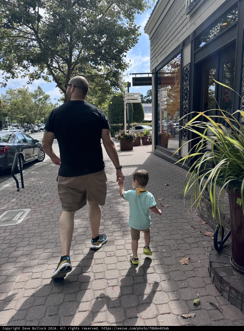 Stroll Through the Neighborhood