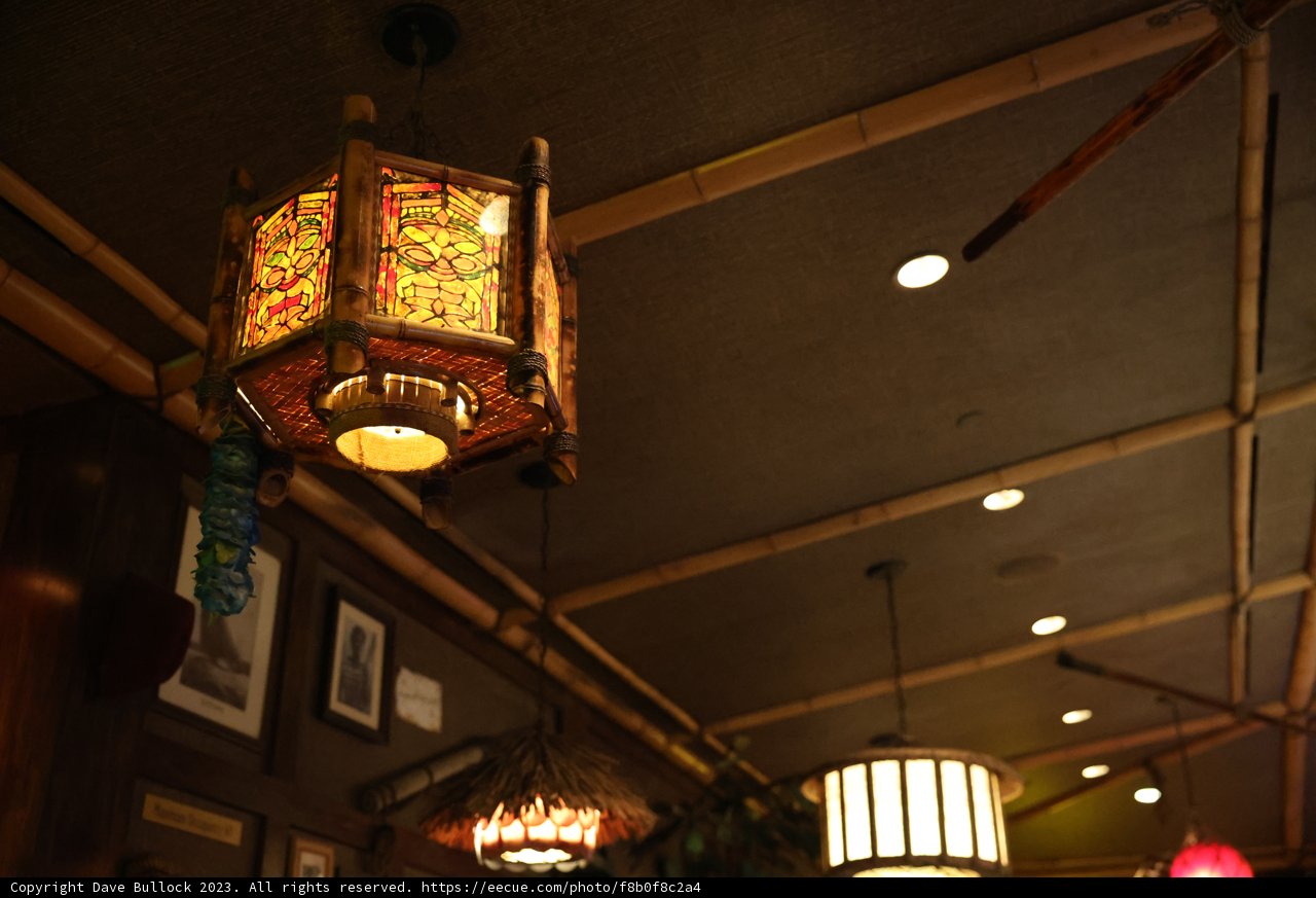 Illuminating Art: A Stunning Light Fixture at the Disneyland Hotel Restaurant