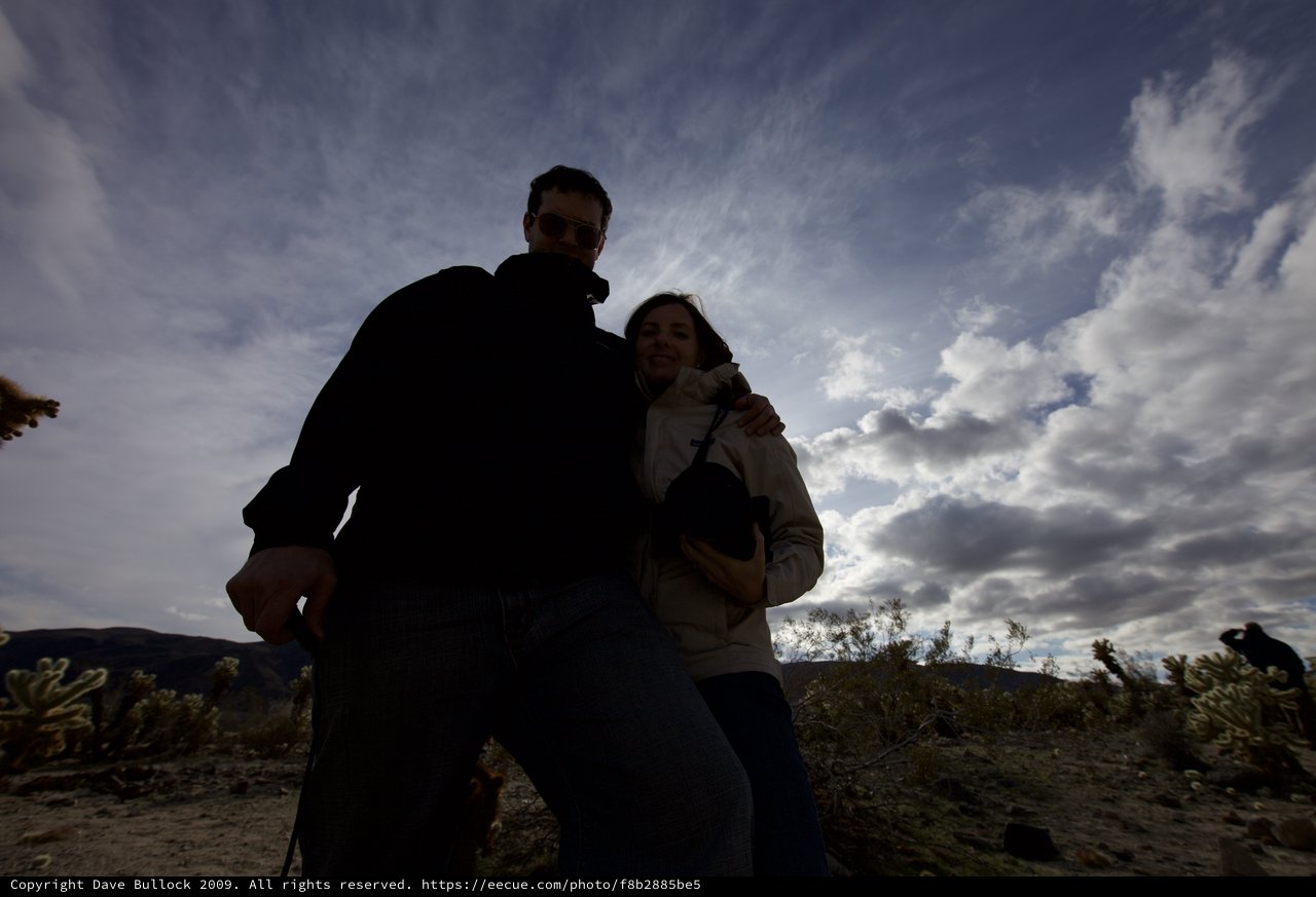 Silhouetted Couple Embrace in Joshua Tree Desert