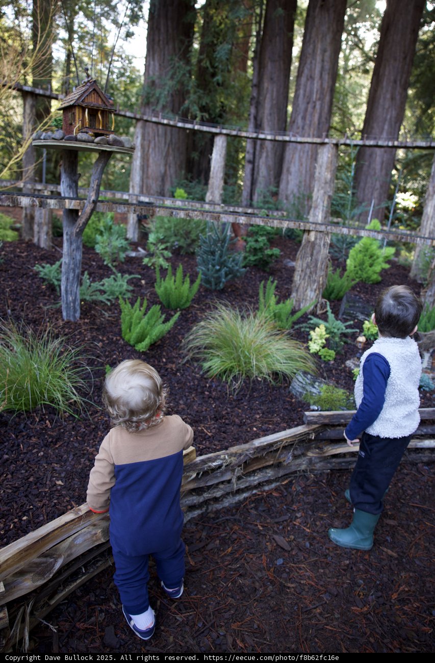 Exploring Nature's Playground