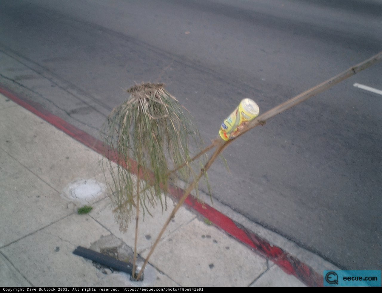 Abandoned Broom and Stick