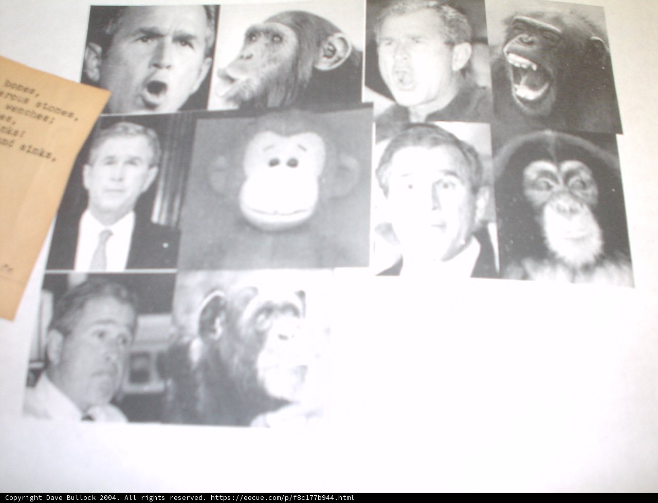 Monkey Business
