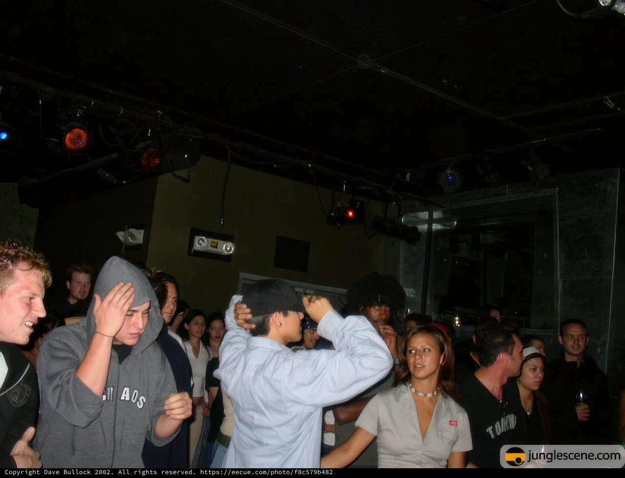 Spotlight on the Nightclub Scene