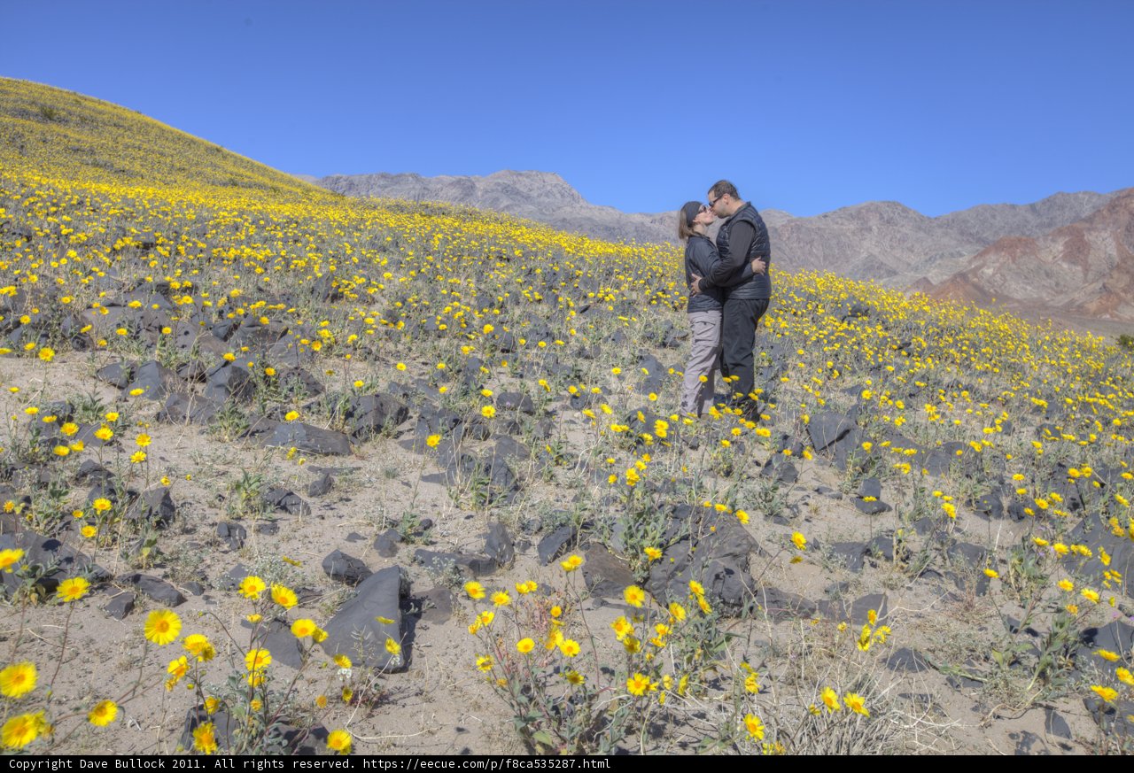 Embrace Among the Flowers