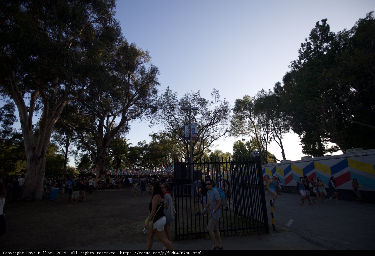 Dusk Festival Landscape