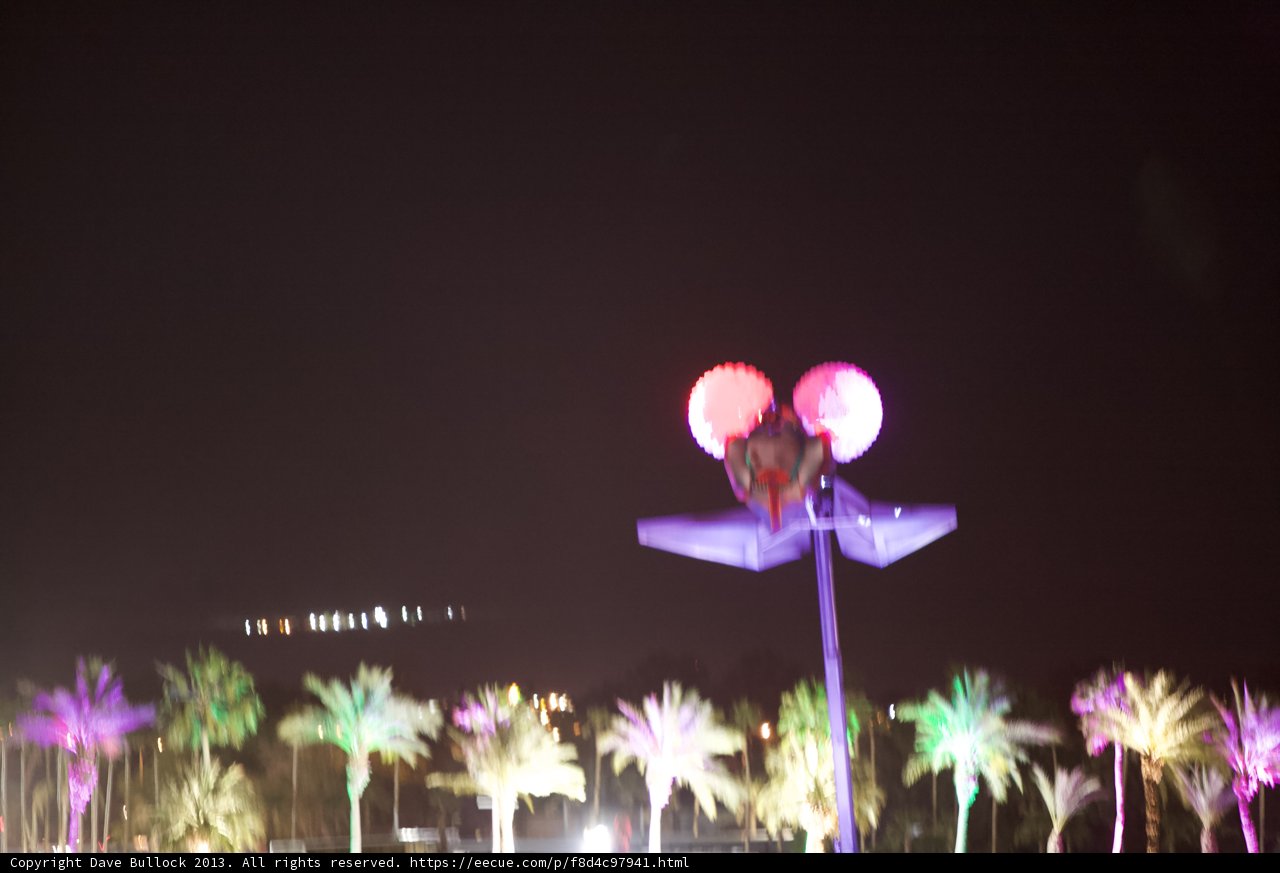Illuminated Palm Trees