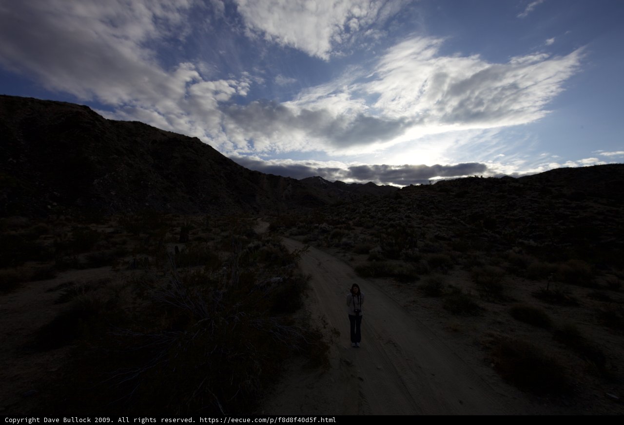 Desert Hike
