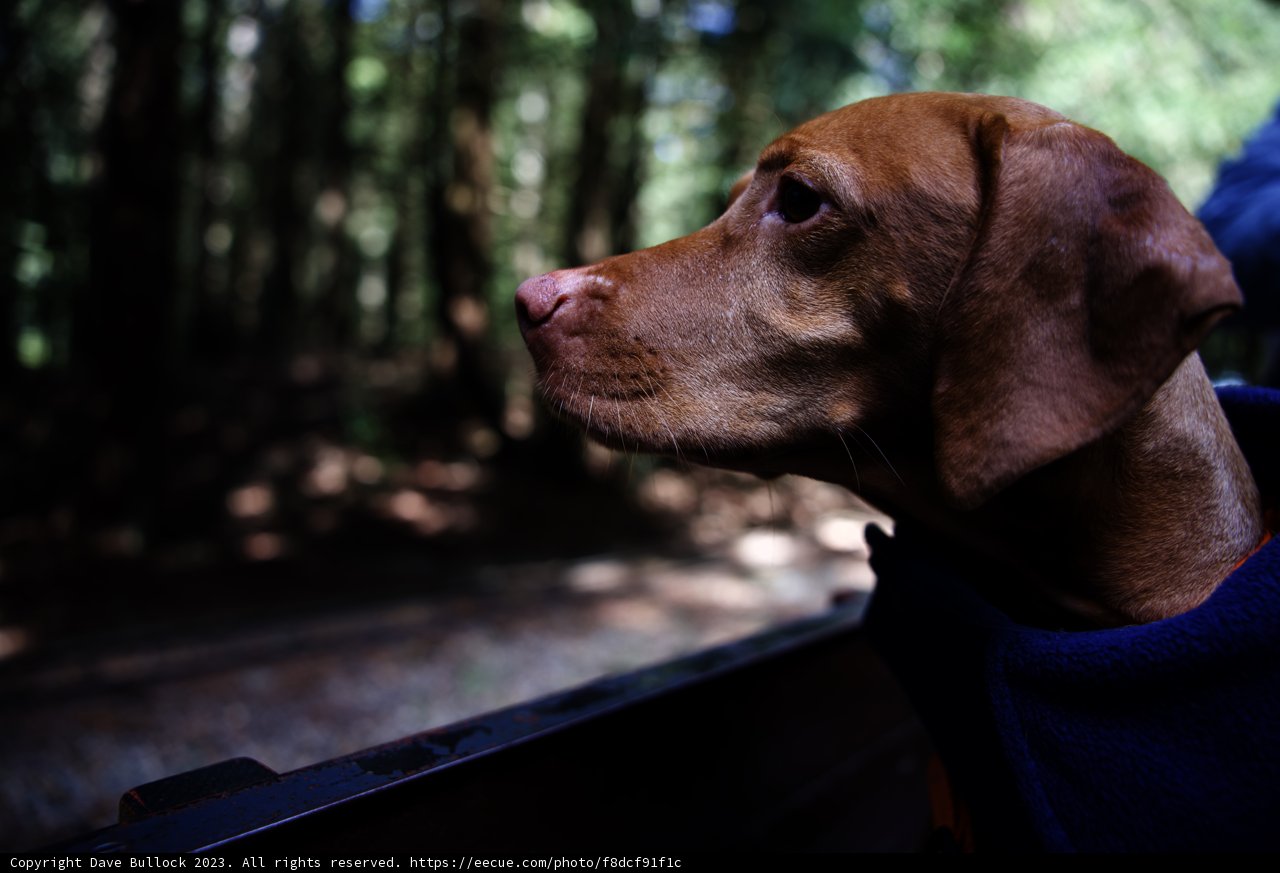 Adventure Awaits at Tilden Park