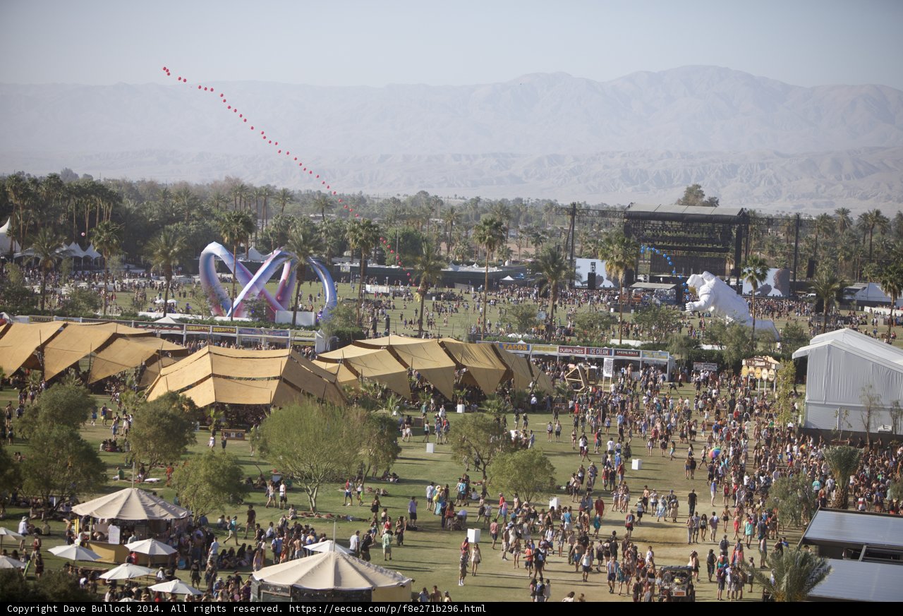 Festival frenzy