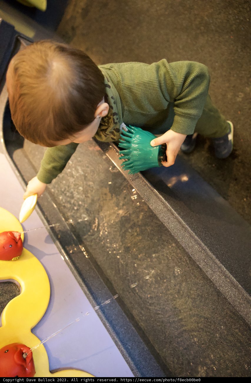 A Joyful Splash: Childhood Adventures at Monterey Bay Aquarium
