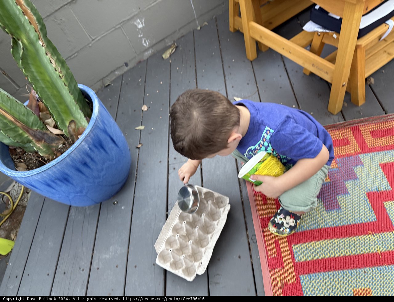 Planting Adventures