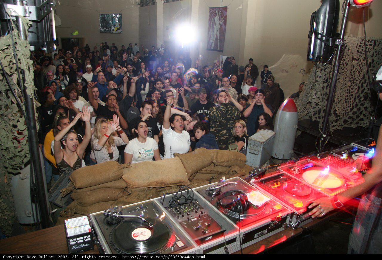 DJ Drops the Beat for Excited Crowd