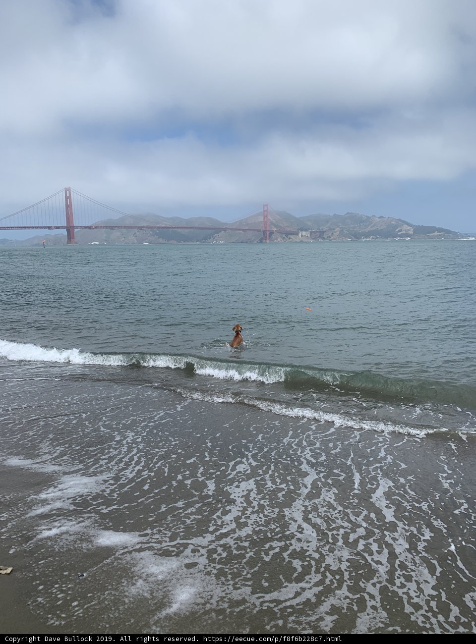 Serenity by the Golden Gate