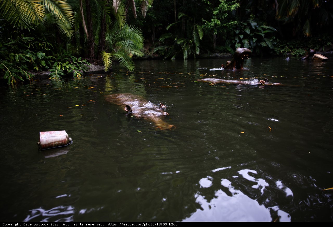 Hippo Haven at Disneyland