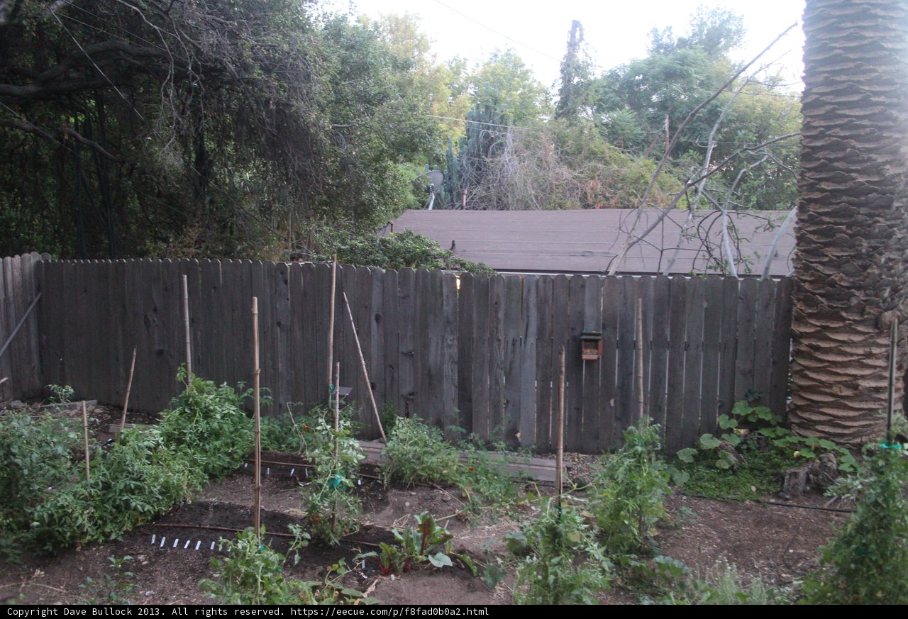Rustic Wooden Fence in a Lush Backyard