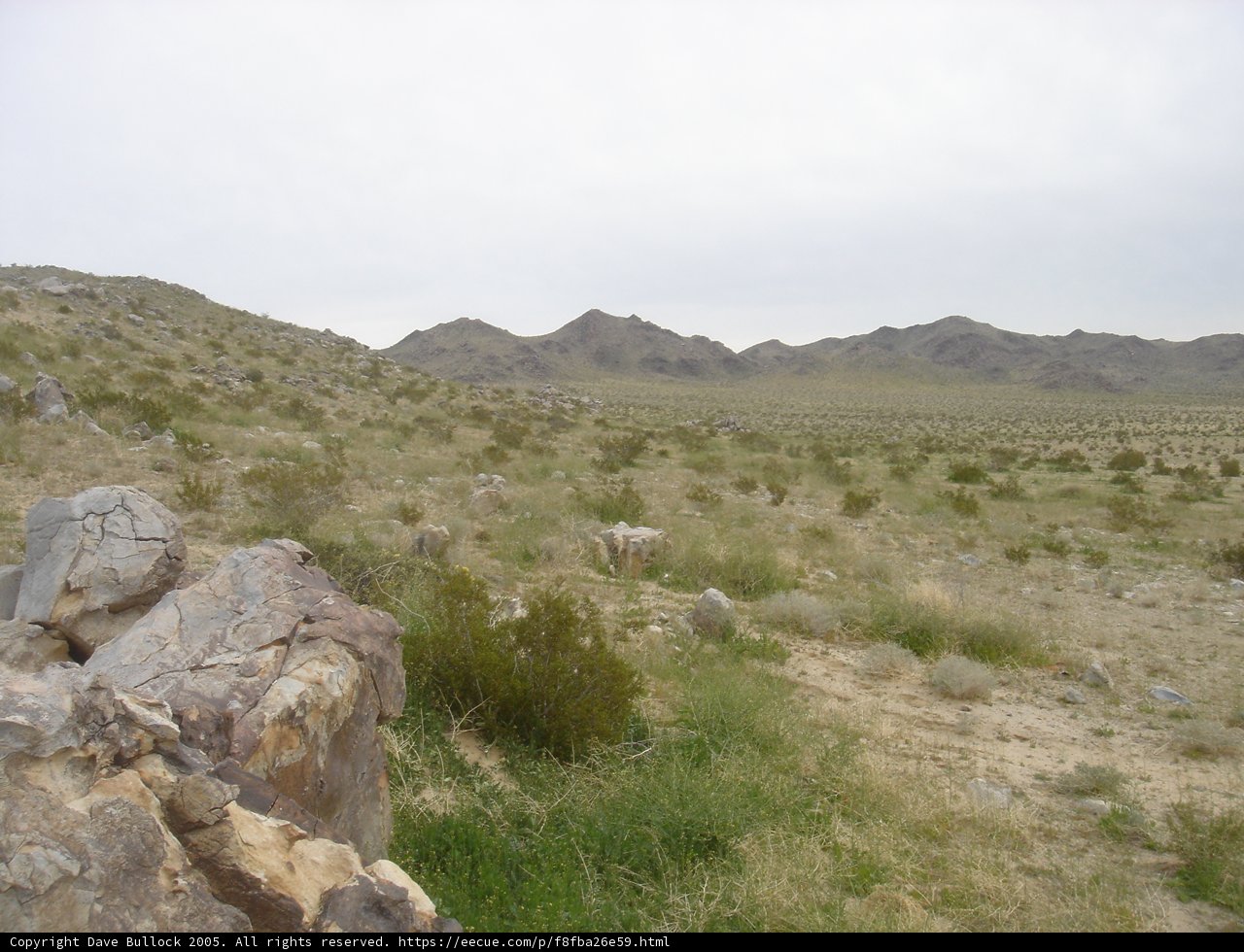 A Serene View of the Desert Landscape