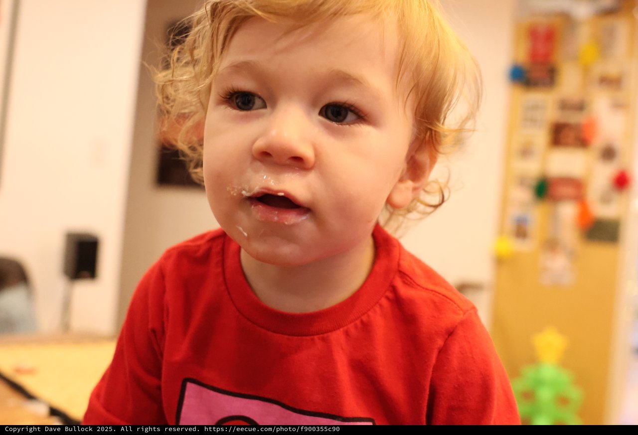 Toddler in Red Shirt After Christmas Meal