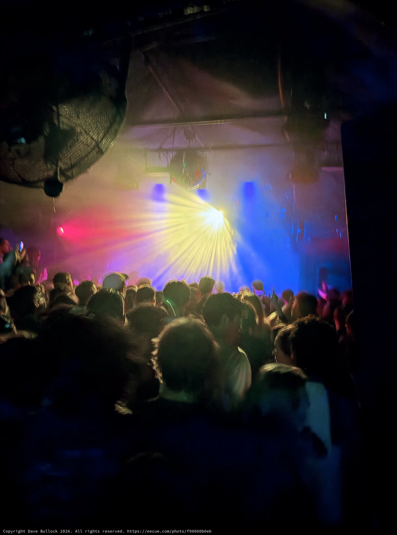 Crowd Immersed in Vibrant Light Show at Concert