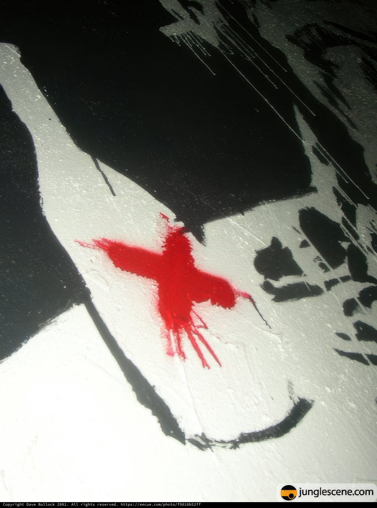 Red Cross Stencil on Lawn