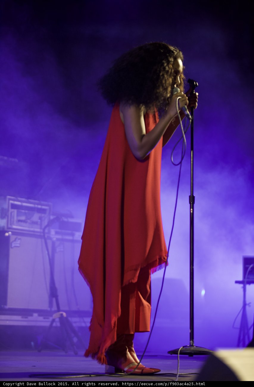 Solange Profile Hair Covering Face Mic Stand Purple