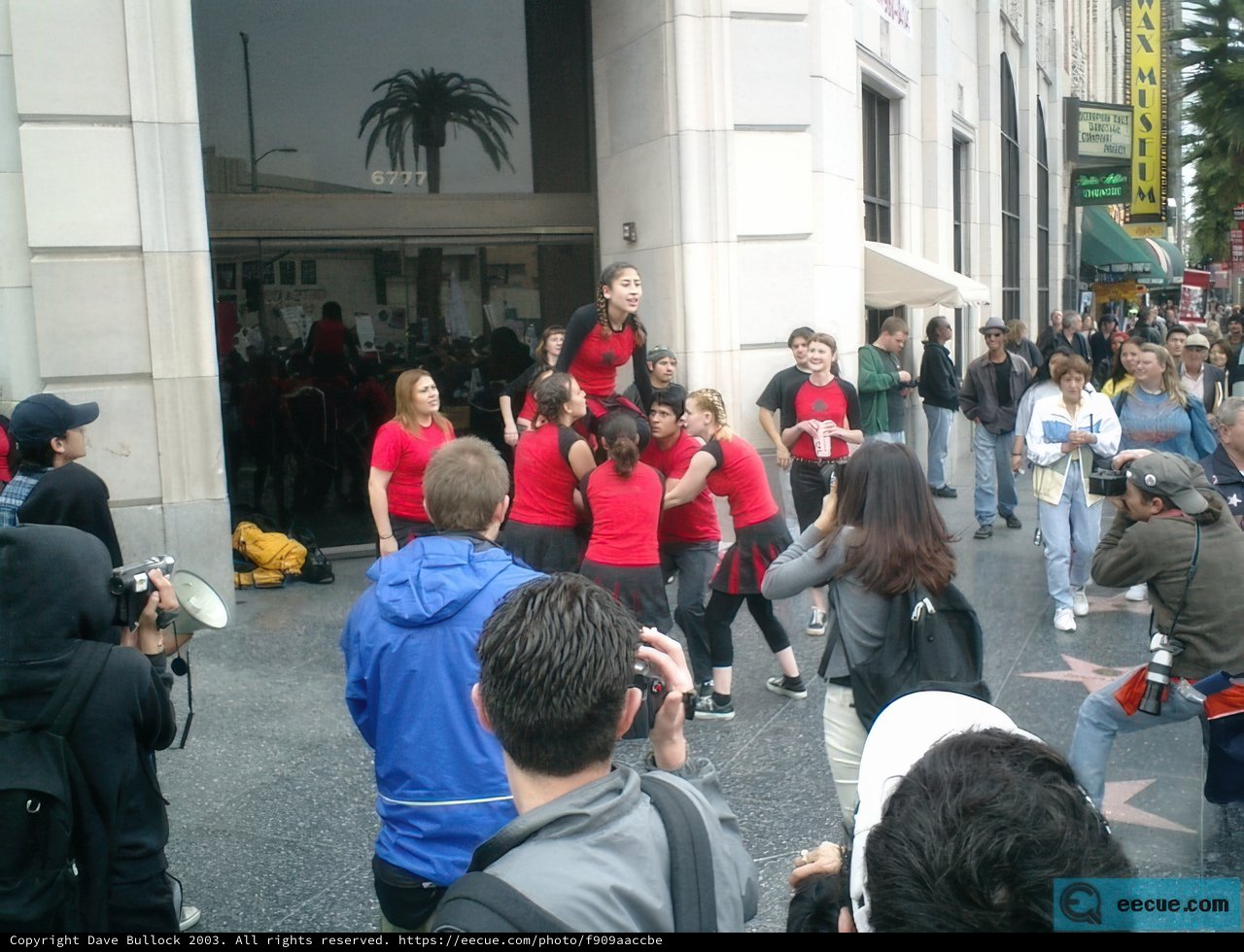 Group of People in Front of a Palm Tree Building