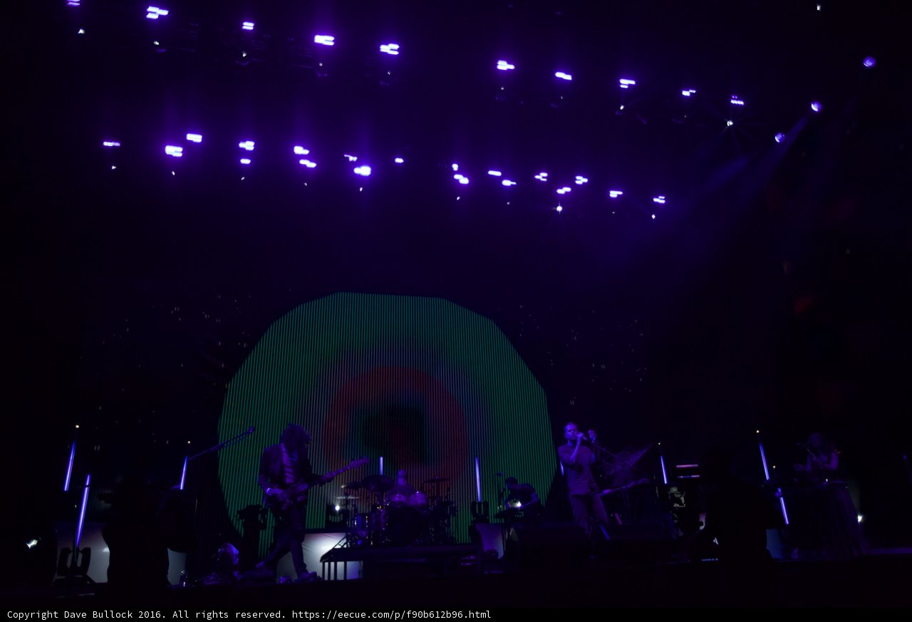 Purple Haze Performance