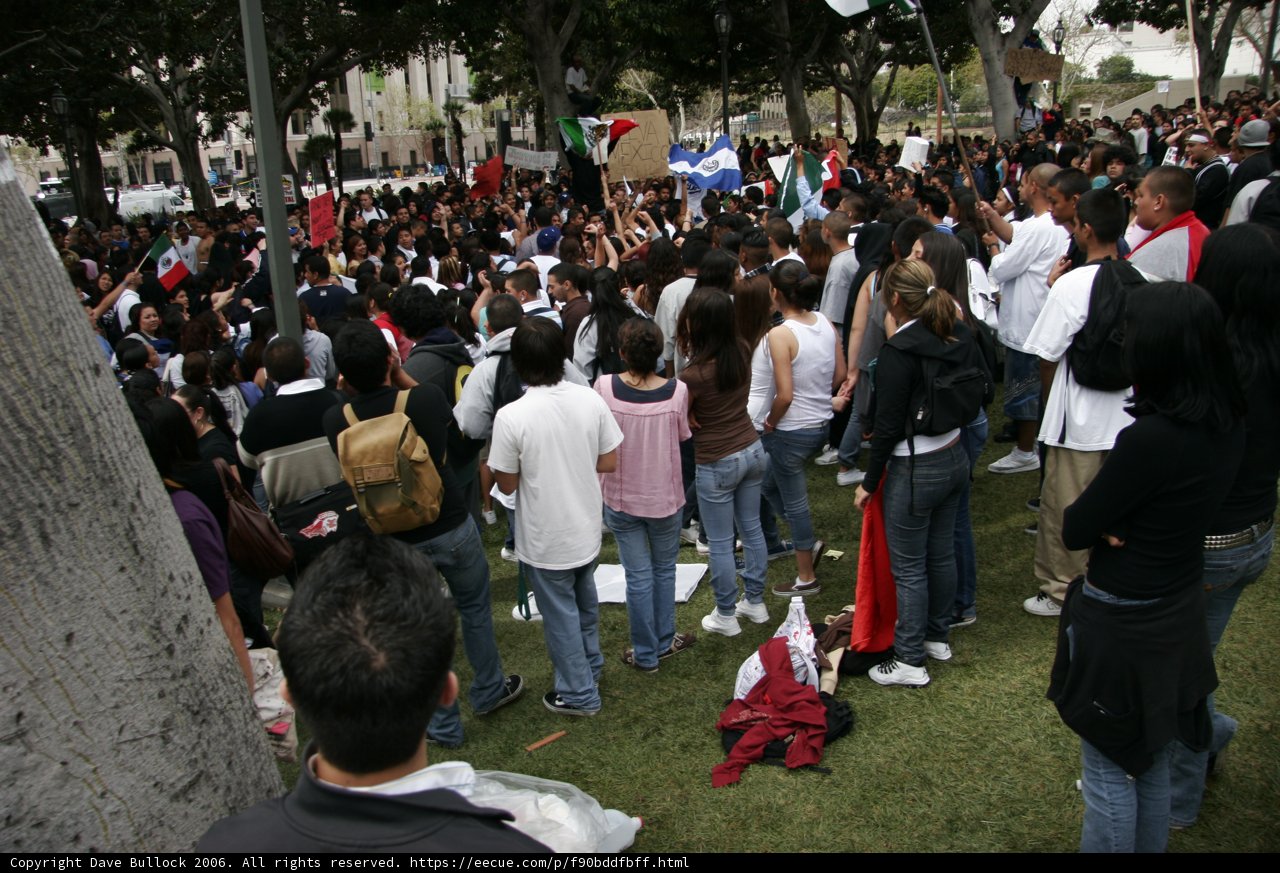 School Walkout Protesters Stand Strong in the Field