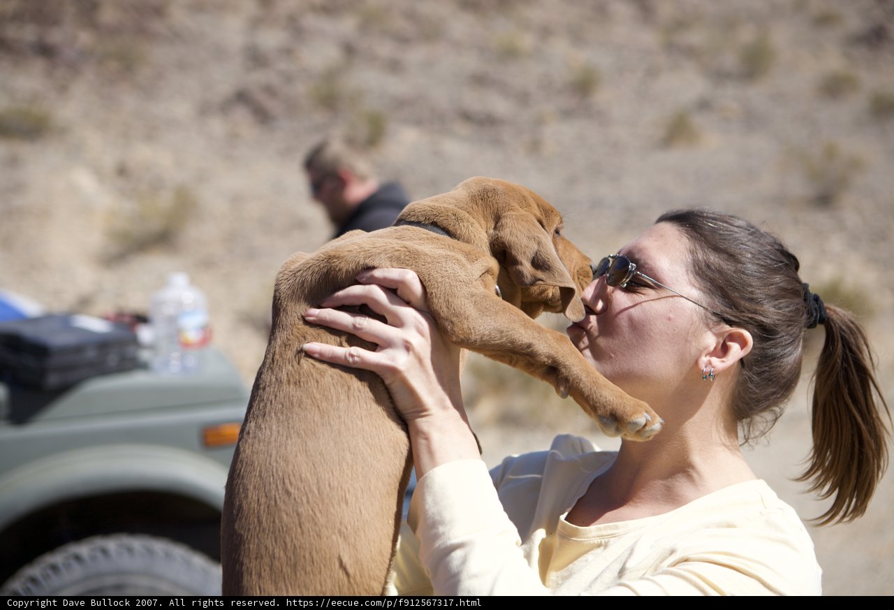 Love and Kisses from My Furry Friend