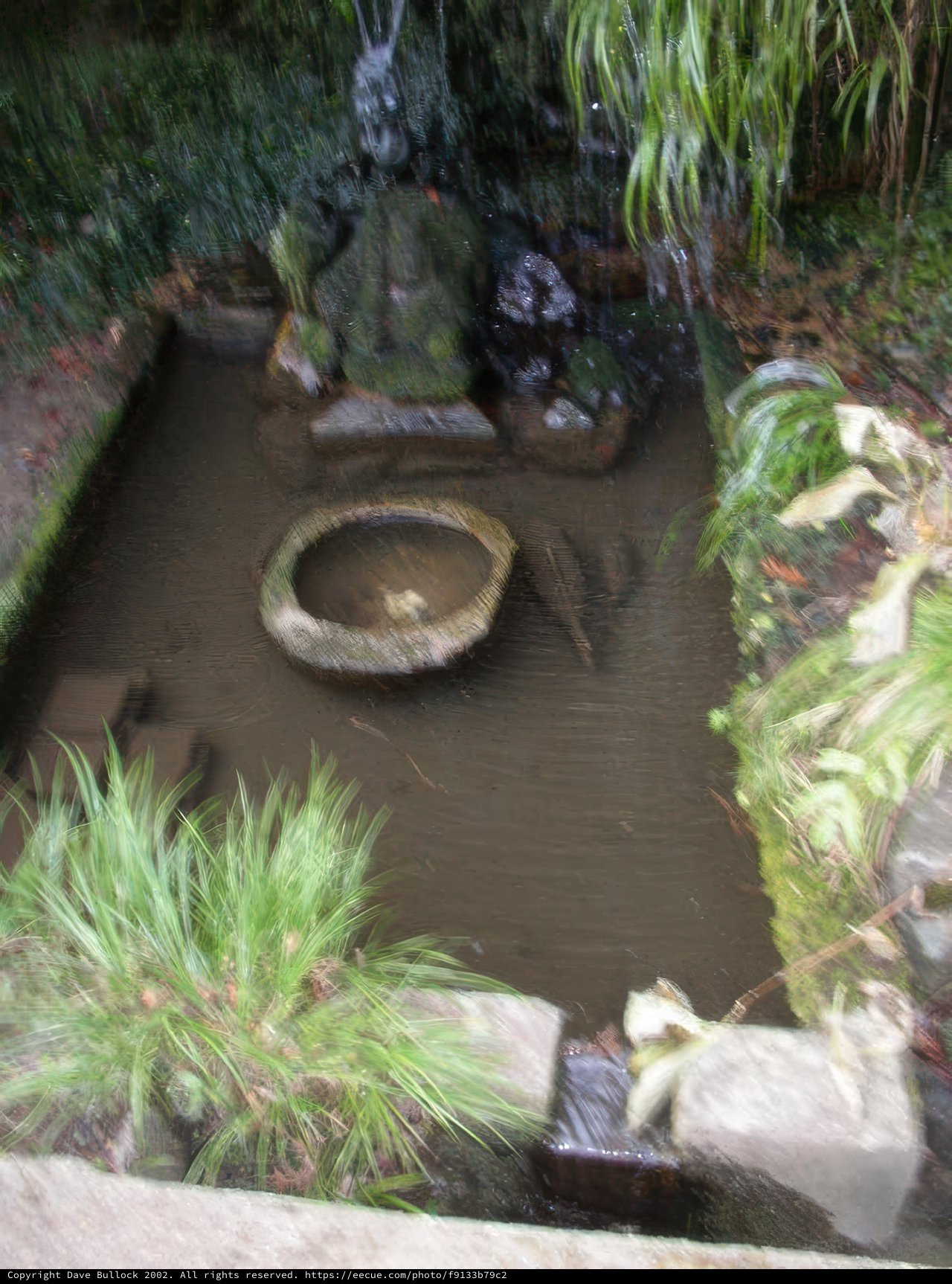 Tranquil Waters