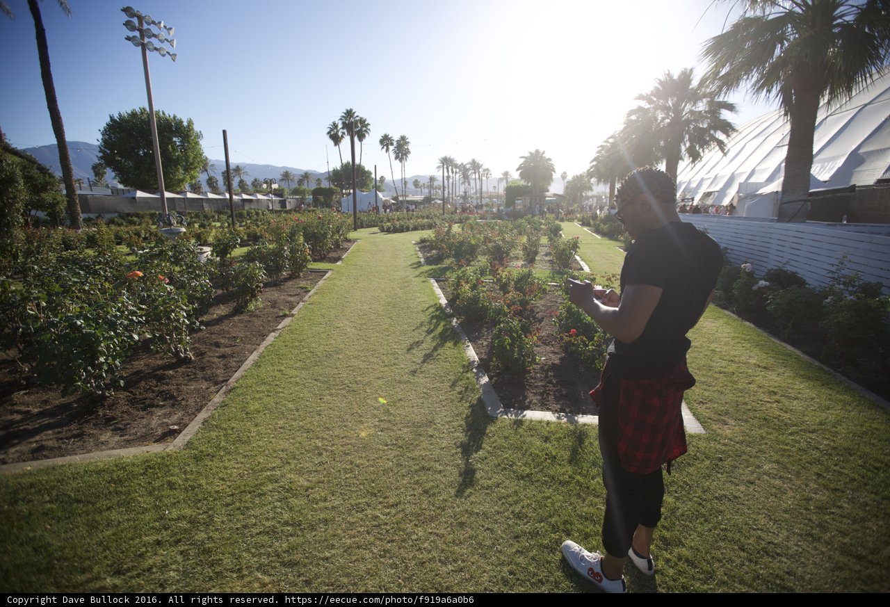 Gardening Guru