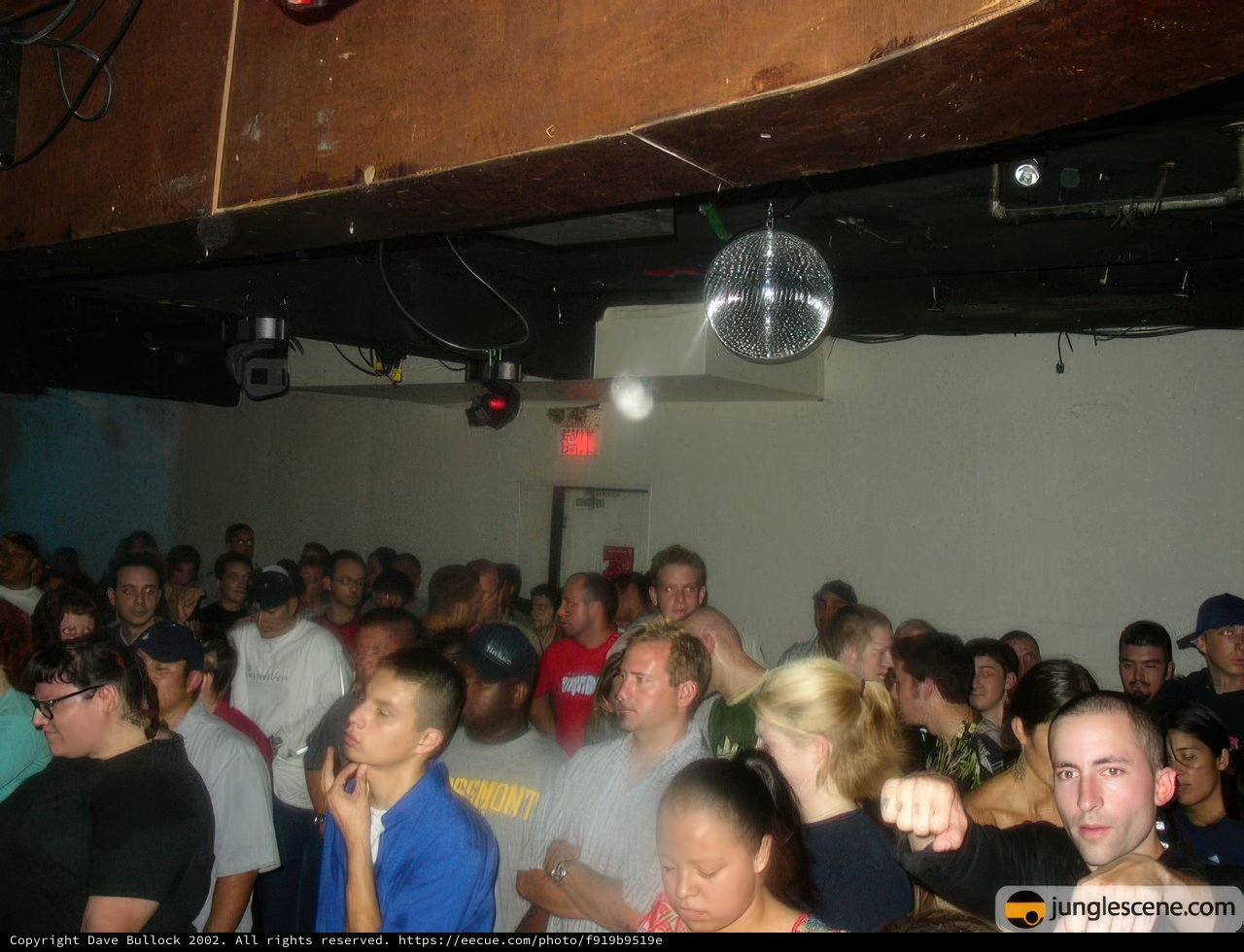Disco Fever at Night Club