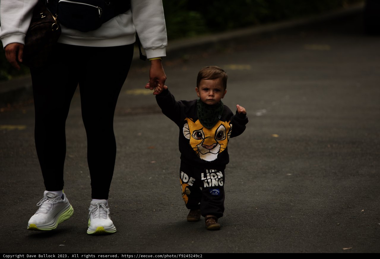 Walking Bonds at the SF Zoo