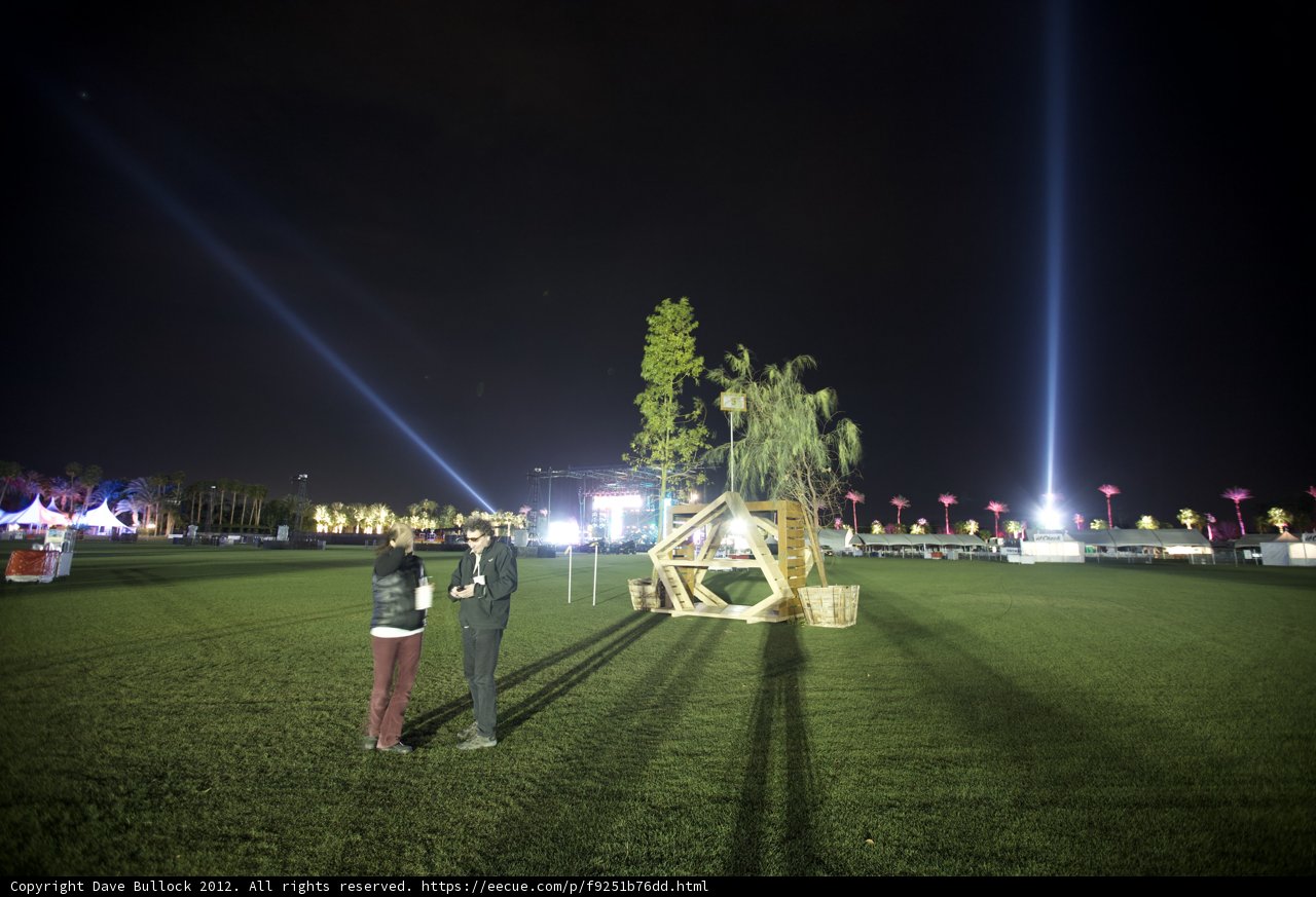 Night Grass