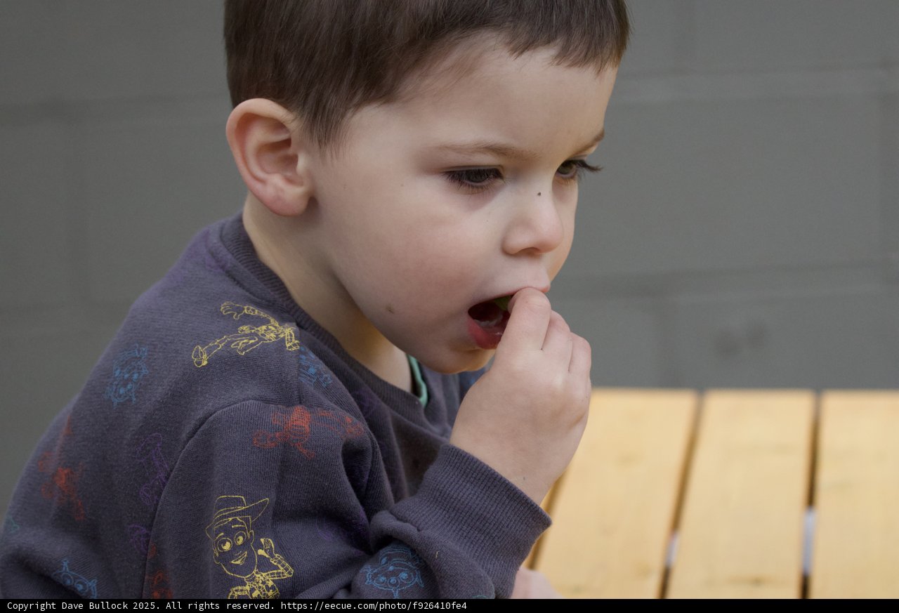 Quiet Moments in Childhood