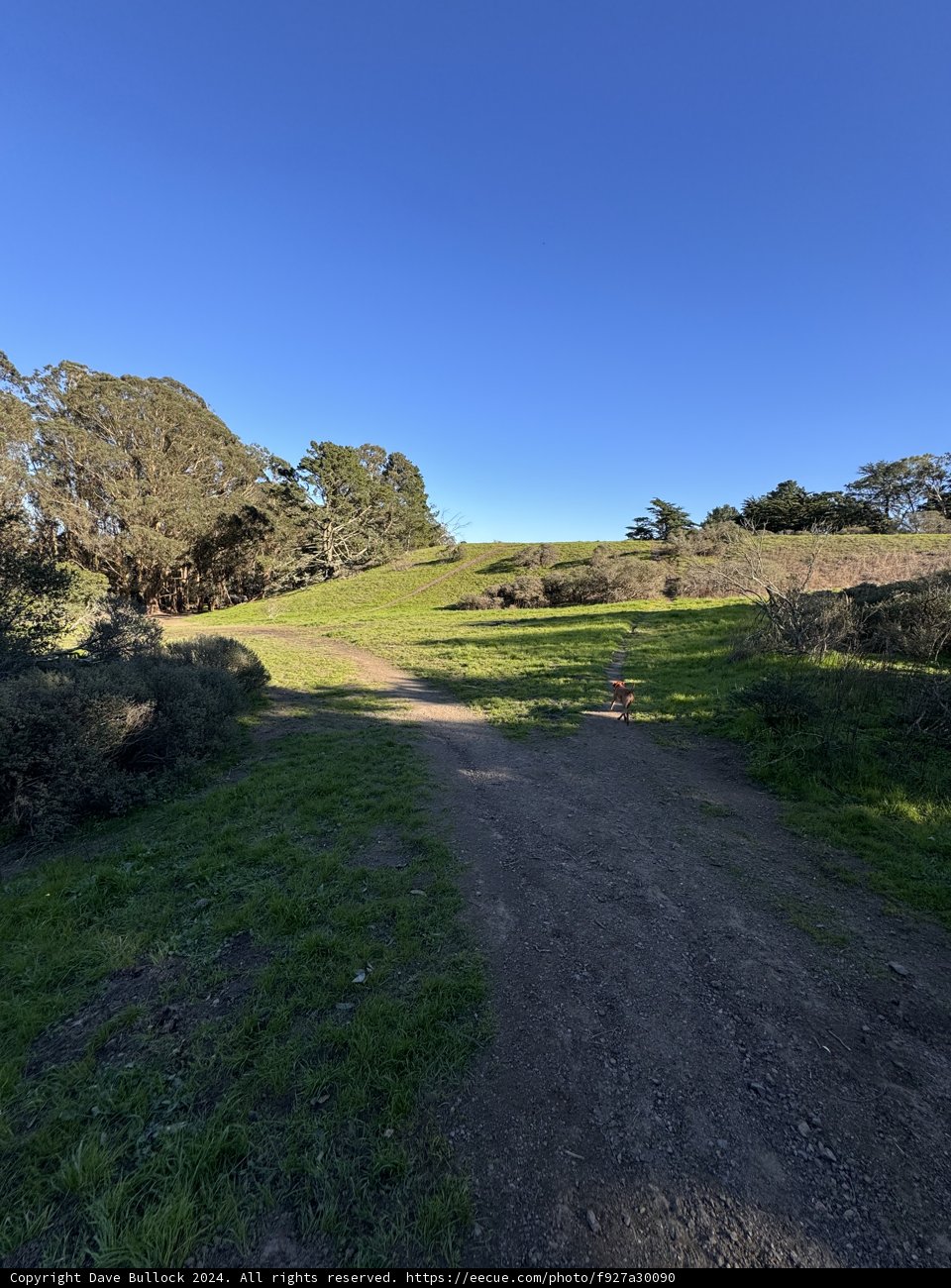 Whispers of Wilderness at McLaren Park