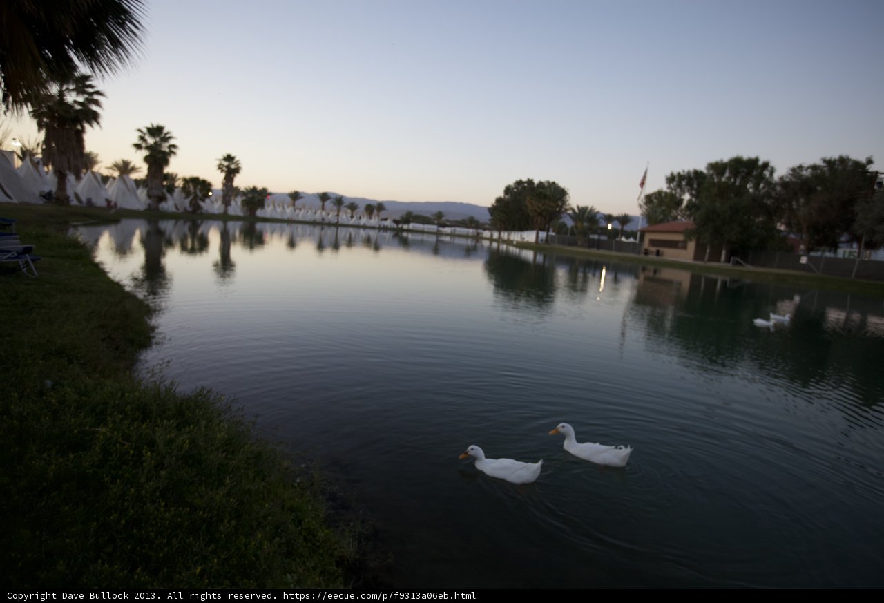 A Peaceful Sunset Swim