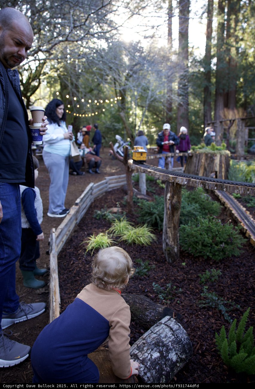 Enchanted Afternoon at Thistlewyck