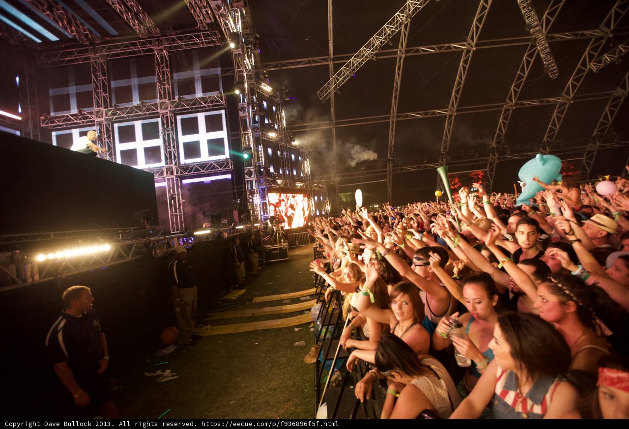 Coachella Crowd in Ecstasy