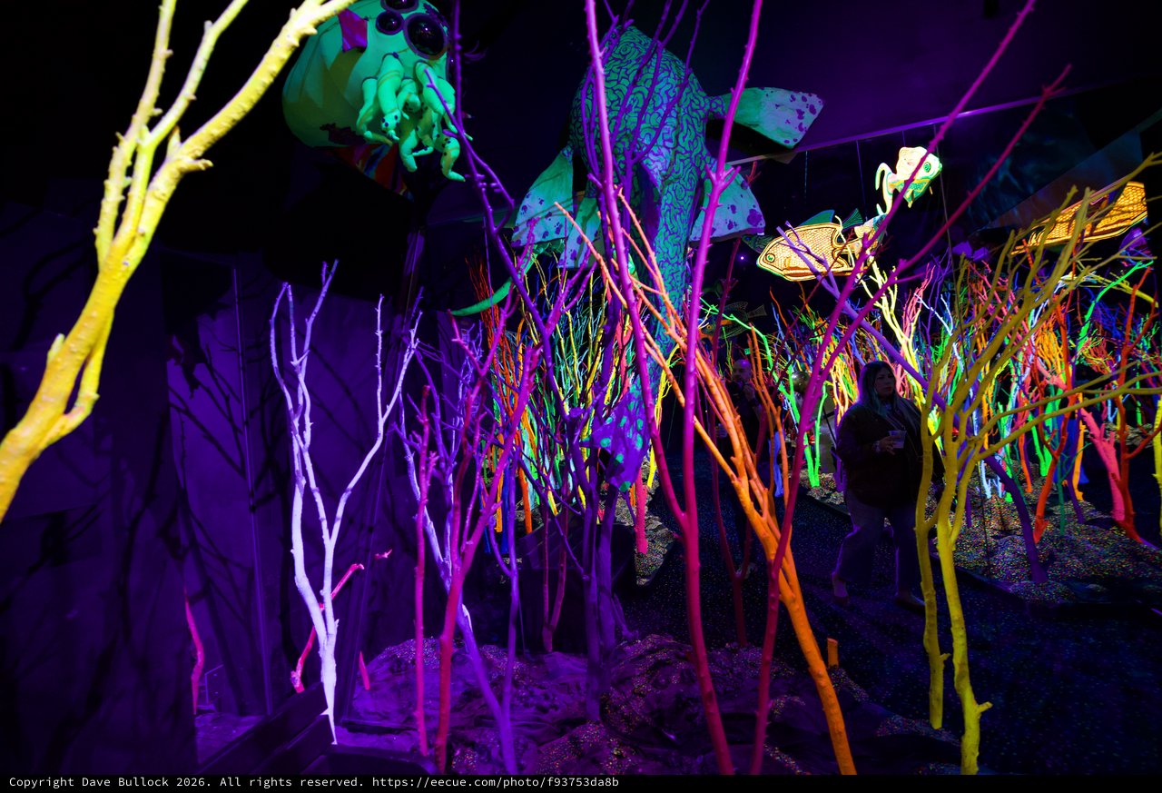 Neon Forest: Immersive Art Installation with Glowing Trees