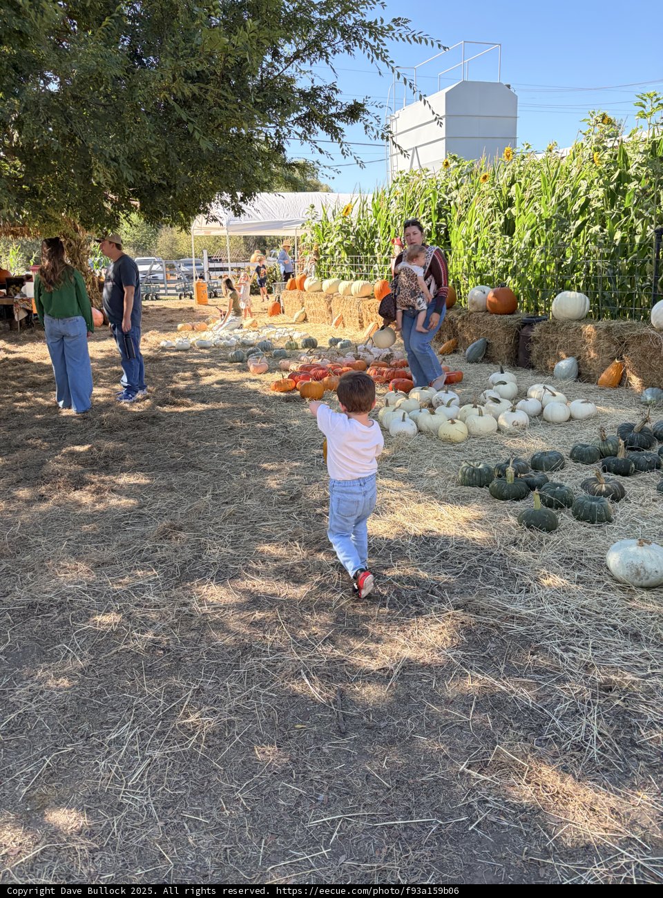 Autumn Adventure in Santa Rosa